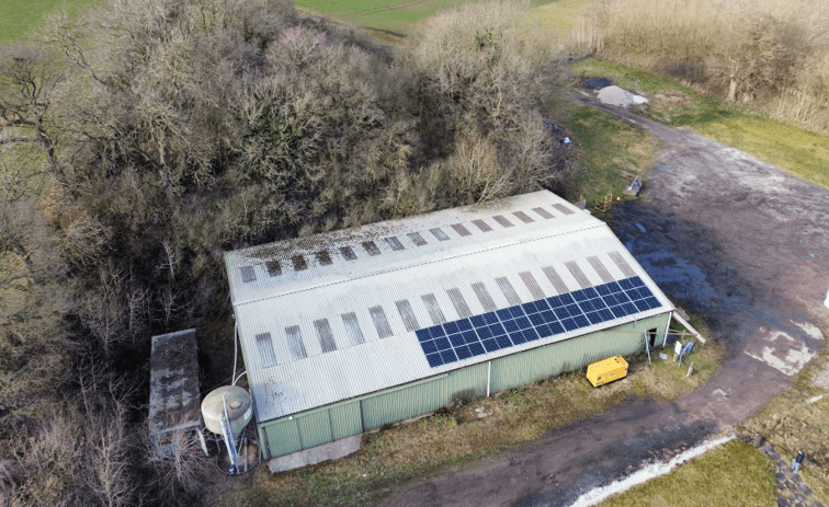 mercer farming ltd – oak farm