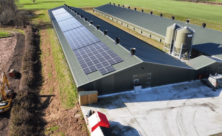mercer farming ltd – coppice farm